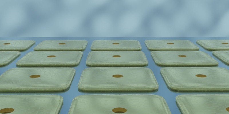 Semarion coded semacyte array